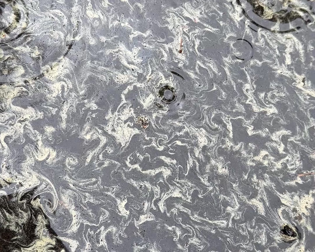 Load video: water puddle with pollen powder swirling
